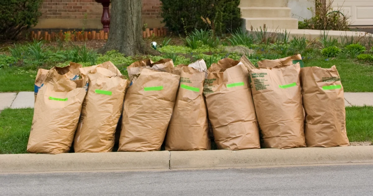 Brown paper yard waste bags lined up on the curb for collection in a residential area